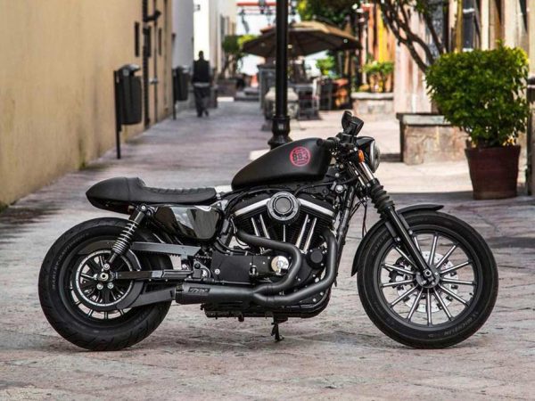 Comp-S 2-into-1 Exhaust - Black with Carbon Fiber End Cap. Fits Sportster 2014-2021 - Image 2